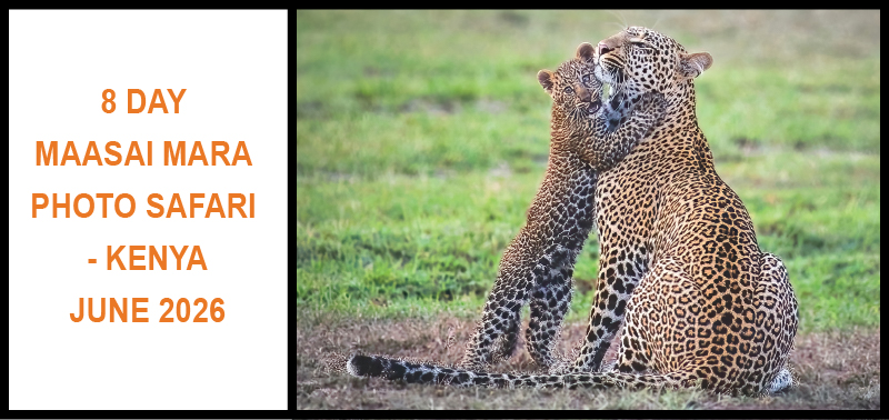 8 DAY MAASAI MARA PHOTO SAFARI - KENYA JUNE 2026_UPDATED_v2