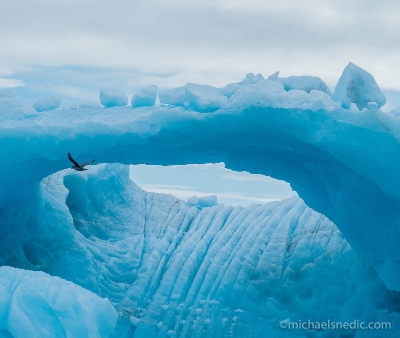 Svalbard Arctic