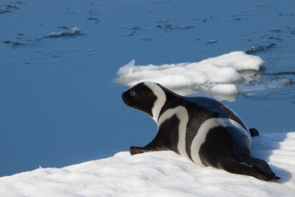 (c) M Kelly Sea of Okhotsk | 12 Day Russian Photography Tour