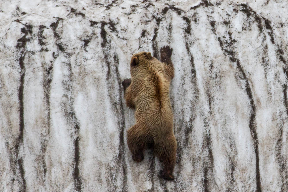 (c) M Kelly Sea of Okhotsk