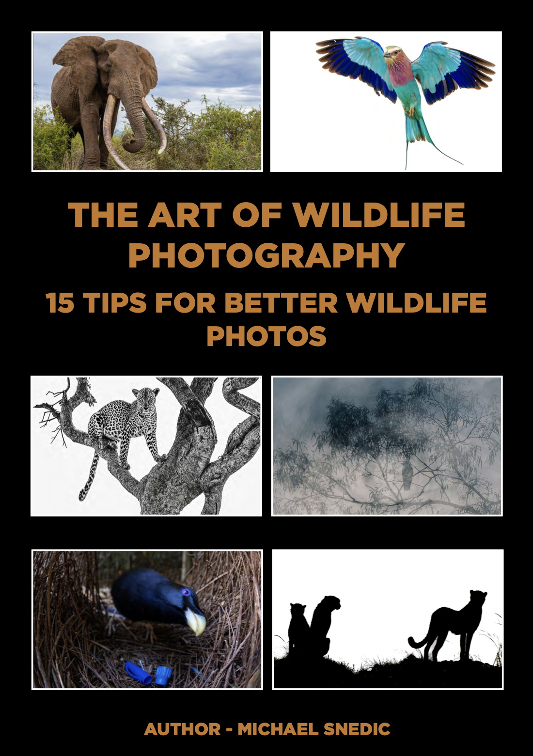 ebook The Art of Wildlife Photography by Michael Snedic July 2026 cover