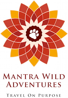 mantra wild adventures